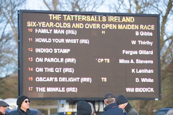 Race 8 - Open Maiden (2 of 214)