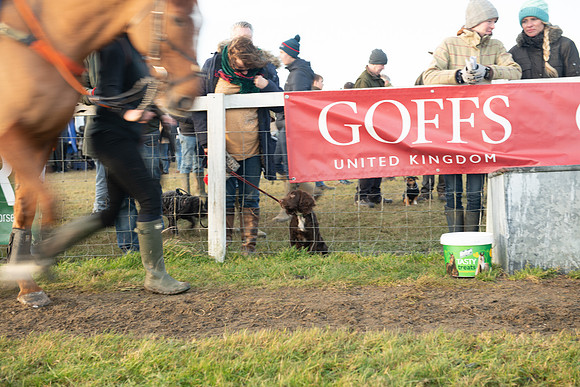 Race 8 - Open Maiden (5 of 214)