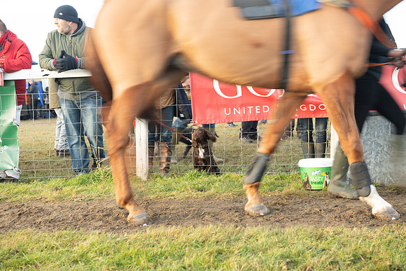 Race 8 - Open Maiden (6 of 214)
