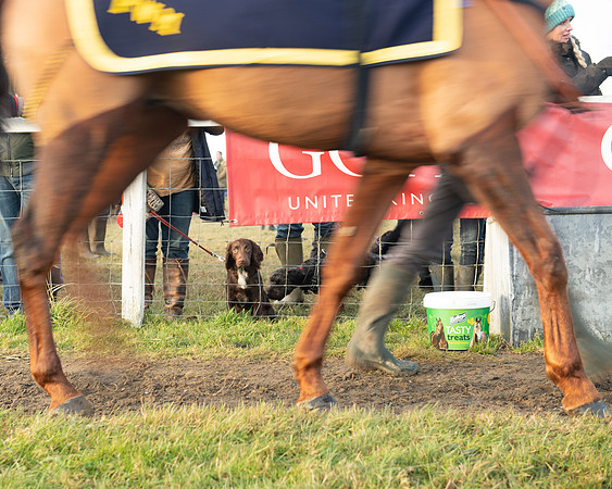 Race 8 - Open Maiden (9 of 214)