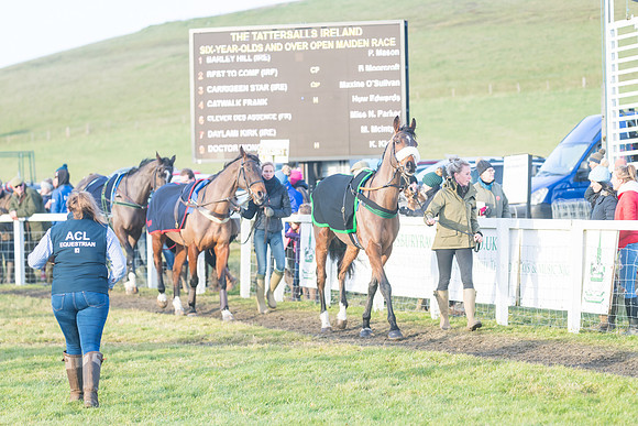 Race 8 - Open Maiden (15 of 214)