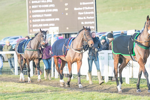 Race 8 - Open Maiden (16 of 214)