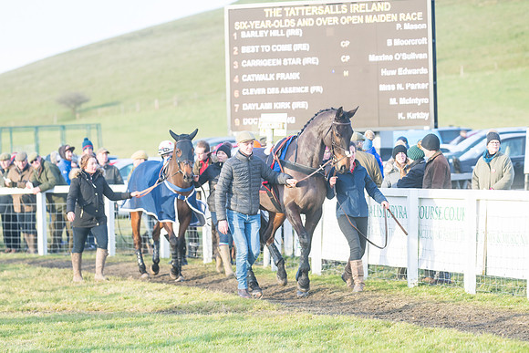 Race 8 - Open Maiden (19 of 214)
