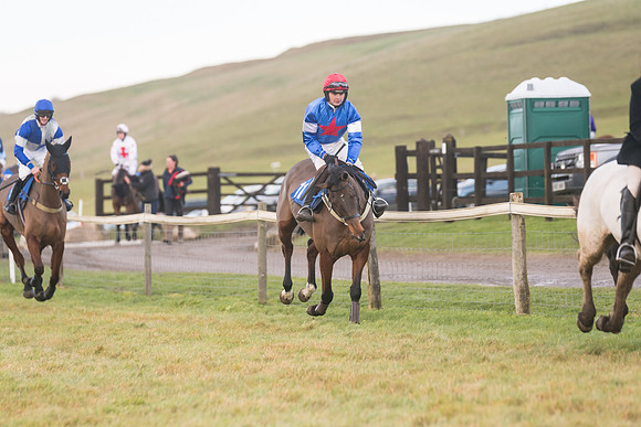 Race 8 - Open Maiden (21 of 214)