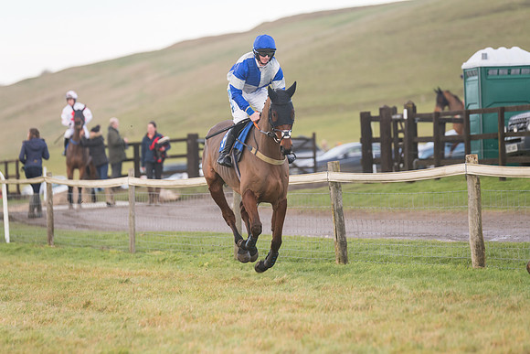 Race 8 - Open Maiden (25 of 214)