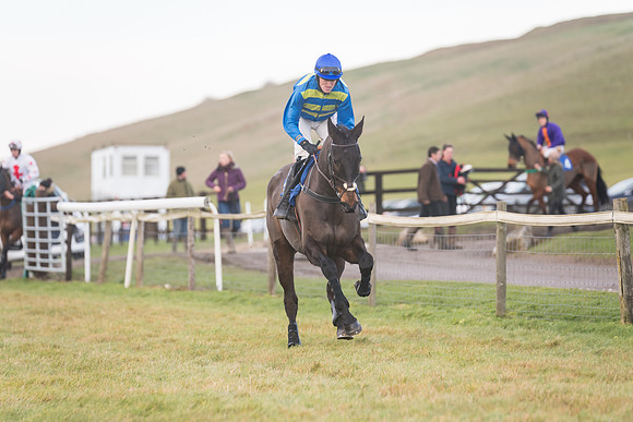 Race 8 - Open Maiden (27 of 214)