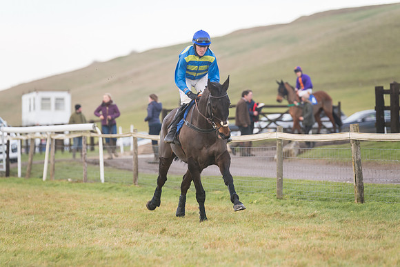 Race 8 - Open Maiden (29 of 214)