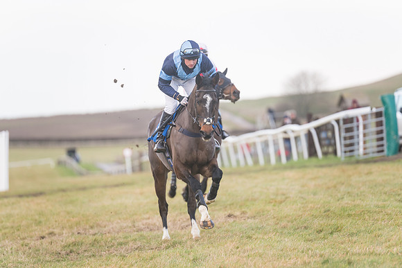 Race 8 - Open Maiden (31 of 214)