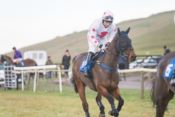 Race 8 - Open Maiden (41 of 214)