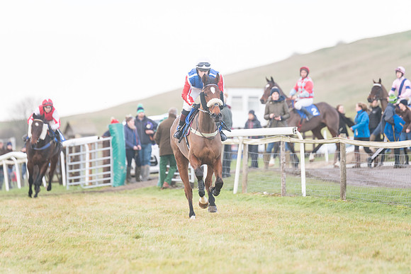 Race 8 - Open Maiden (50 of 214)