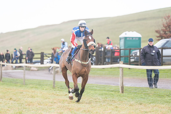 Race 8 - Open Maiden (52 of 214)