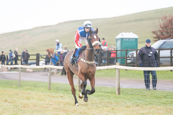 Race 8 - Open Maiden (53 of 214)