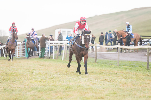 Race 8 - Open Maiden (56 of 214)