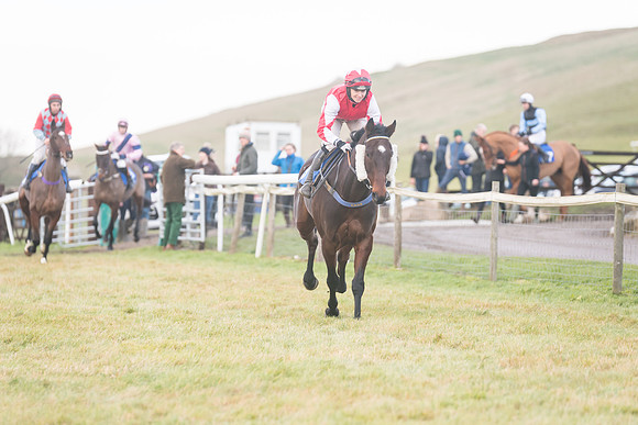 Race 8 - Open Maiden (57 of 214)