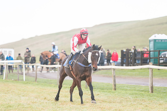 Race 8 - Open Maiden (58 of 214)