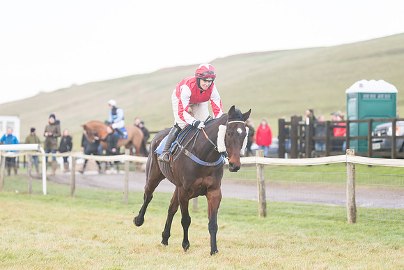 Race 8 - Open Maiden (59 of 214)