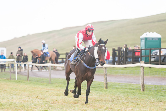 Race 8 - Open Maiden (60 of 214)