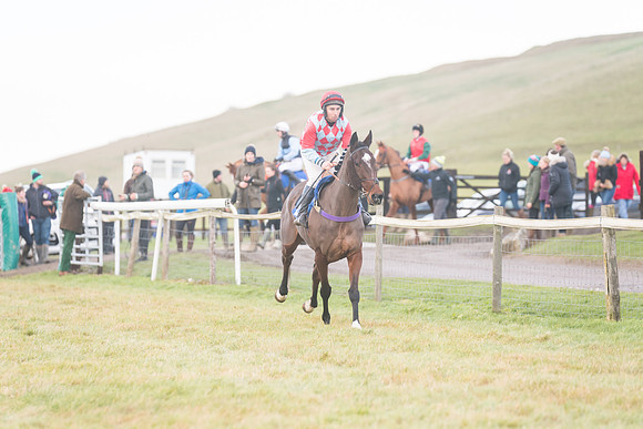 Race 8 - Open Maiden (61 of 214)