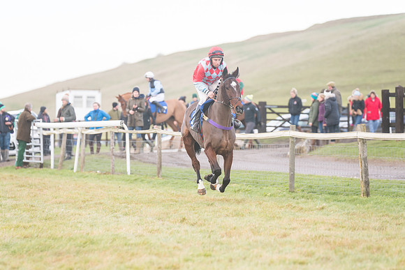 Race 8 - Open Maiden (63 of 214)