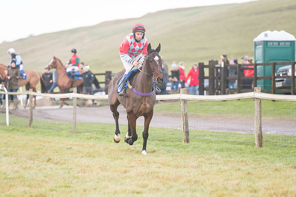 Race 8 - Open Maiden (65 of 214)