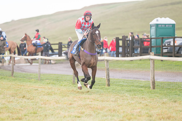 Race 8 - Open Maiden (66 of 214)