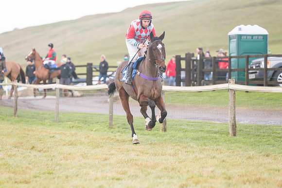 Race 8 - Open Maiden (67 of 214)