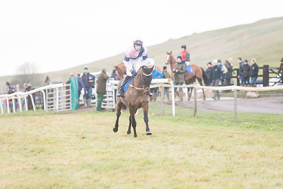 Race 8 - Open Maiden (68 of 214)