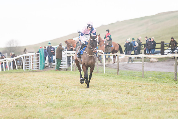 Race 8 - Open Maiden (70 of 214)