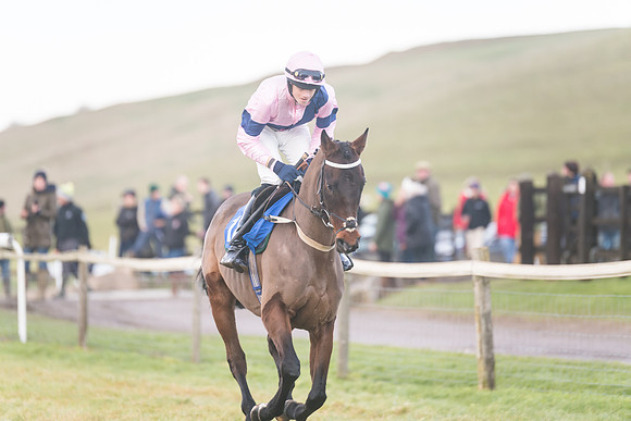 Race 8 - Open Maiden (72 of 214)