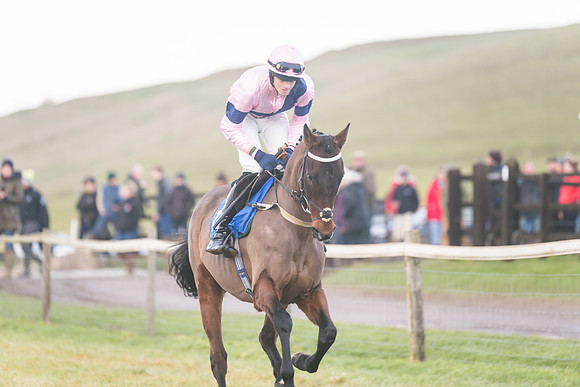 Race 8 - Open Maiden (73 of 214)