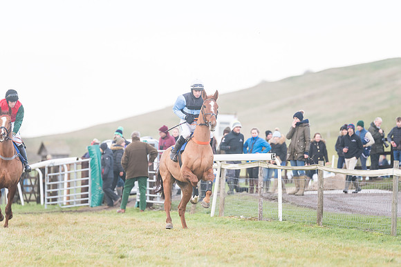 Race 8 - Open Maiden (75 of 214)