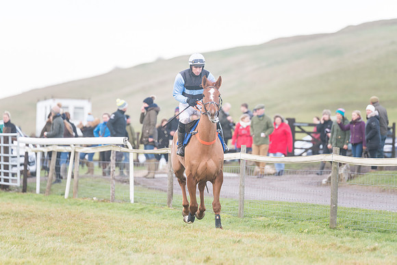 Race 8 - Open Maiden (76 of 214)