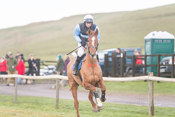 Race 8 - Open Maiden (78 of 214)