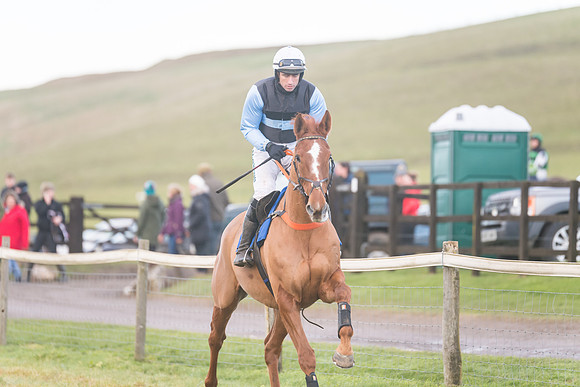 Race 8 - Open Maiden (80 of 214)
