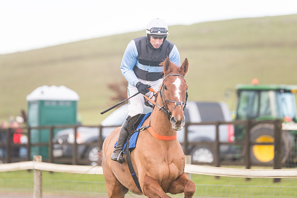 Race 8 - Open Maiden (81 of 214)