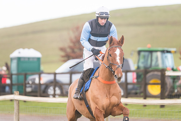 Race 8 - Open Maiden (82 of 214)