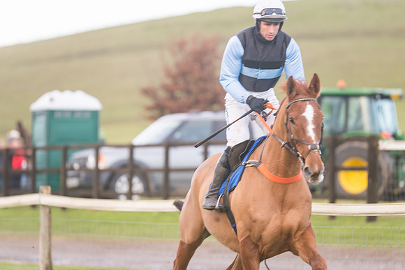 Race 8 - Open Maiden (83 of 214)