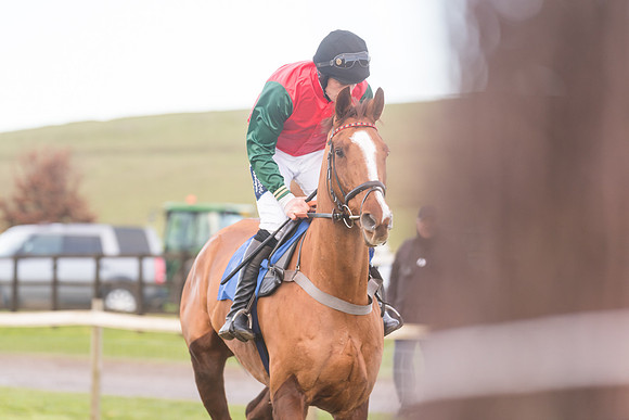 Race 8 - Open Maiden (84 of 214)