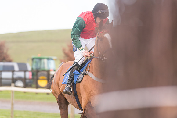 Race 8 - Open Maiden (85 of 214)