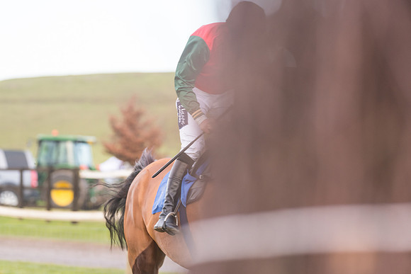 Race 8 - Open Maiden (86 of 214)