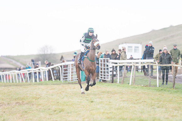 Race 8 - Open Maiden (87 of 214)