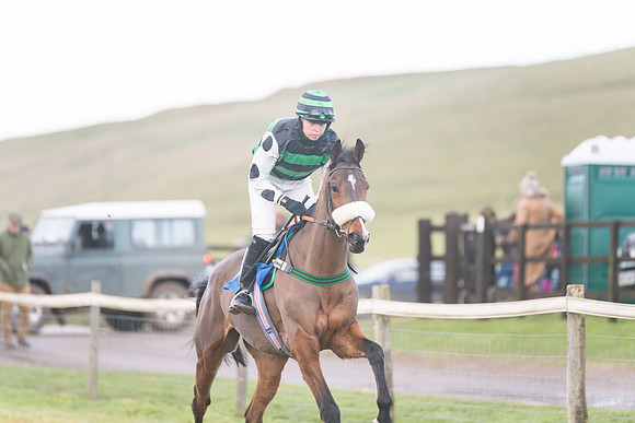 Race 8 - Open Maiden (92 of 214)