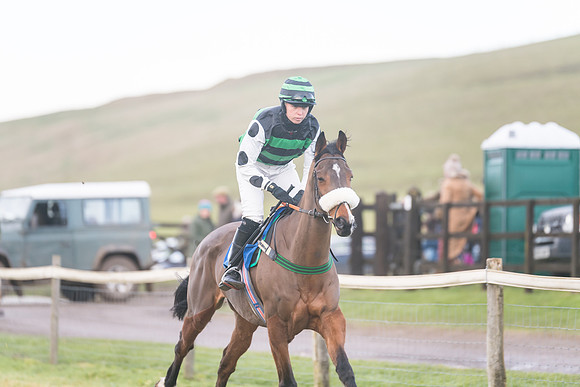 Race 8 - Open Maiden (93 of 214)
