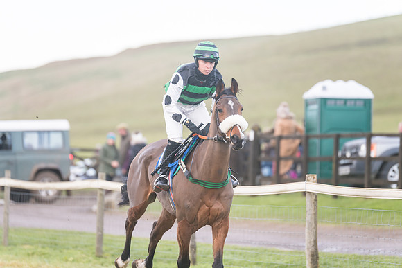 Race 8 - Open Maiden (94 of 214)