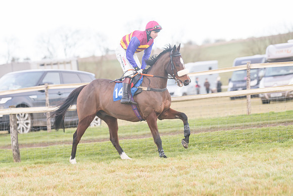 Race 8 - Open Maiden (96 of 214)