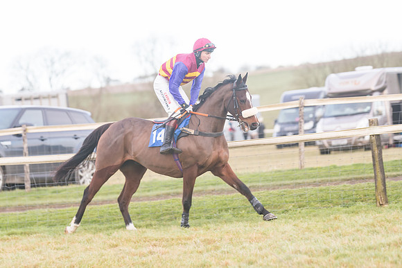 Race 8 - Open Maiden (97 of 214)