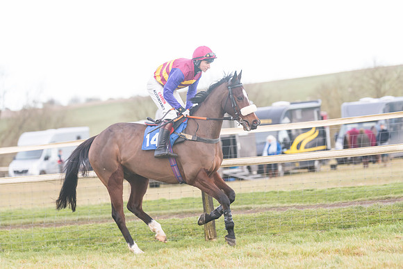Race 8 - Open Maiden (98 of 214)