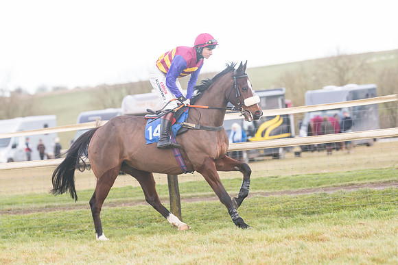 Race 8 - Open Maiden (99 of 214)