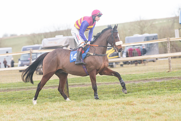 Race 8 - Open Maiden (100 of 214)
