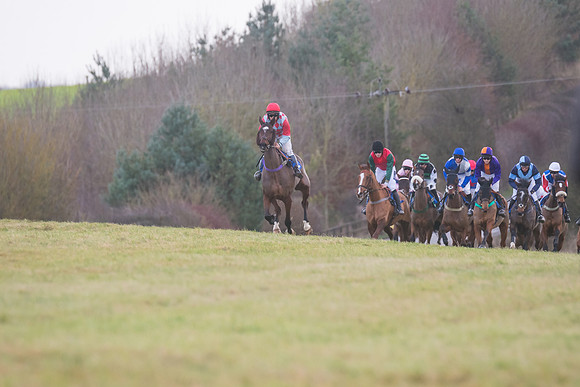 Race 8 - Open Maiden (102 of 214)